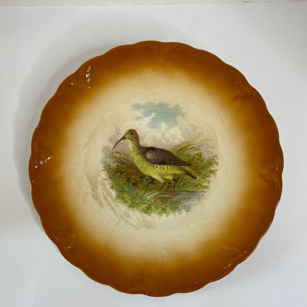 Antique Whimbrel Bird Plate Hand Painted